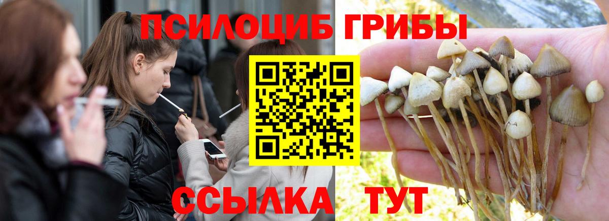 Сланцы  Галлюциногенные грибы мицелий  наркошоп  Вход с VPN 